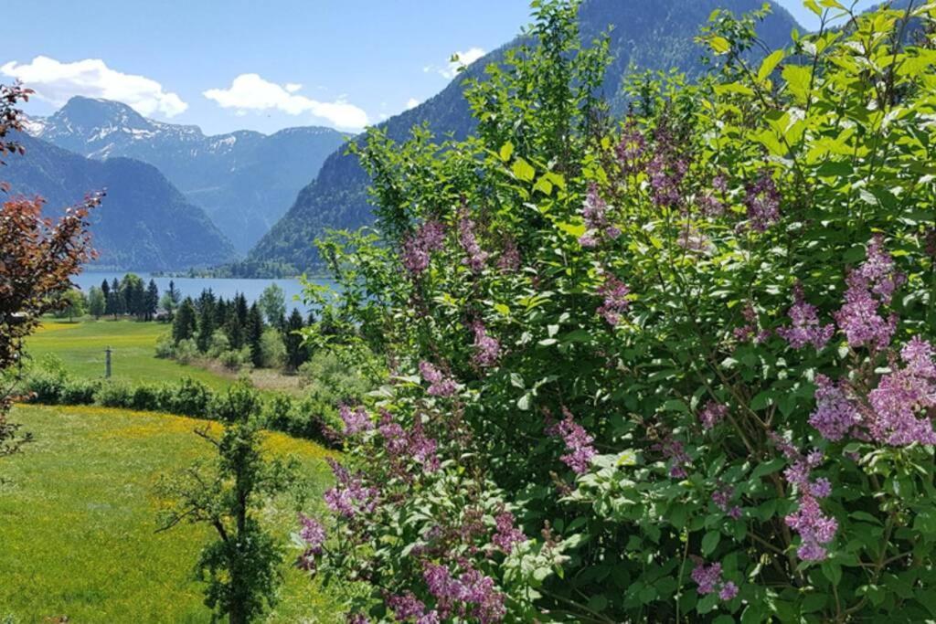 Ferienhaus Kopriwa Bad Goisern Esterno foto